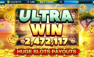 247bet